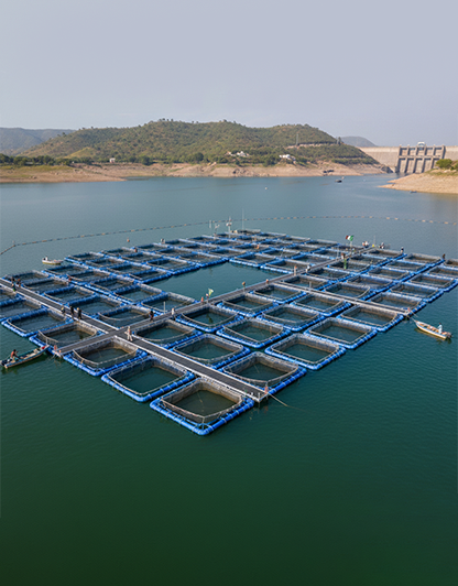 Cage Culture Cluster Development Project (2019-24)