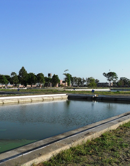 Rehabilitation of Site-B of Chashma Fisheries Complex to Enhance Fish ...