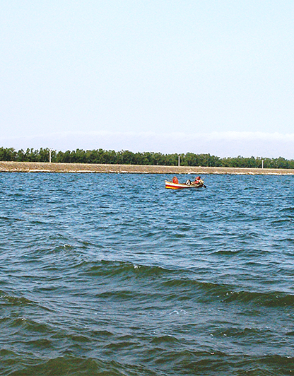 Rehabilitation & Upgradation of Fish Seed Hatcheries to Enhance Fish Seed Production in Punjab (2021-24)