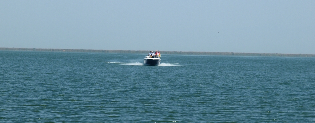 Fish Biodiversity Hatchery Chashma Barrage