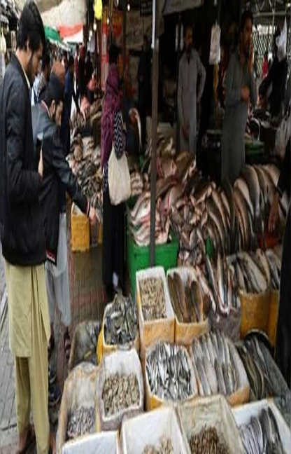 Establishment of Model Fish Market at Lahore (Feasibility Study) (3 months 01.10.2024 to 31.12.2024)